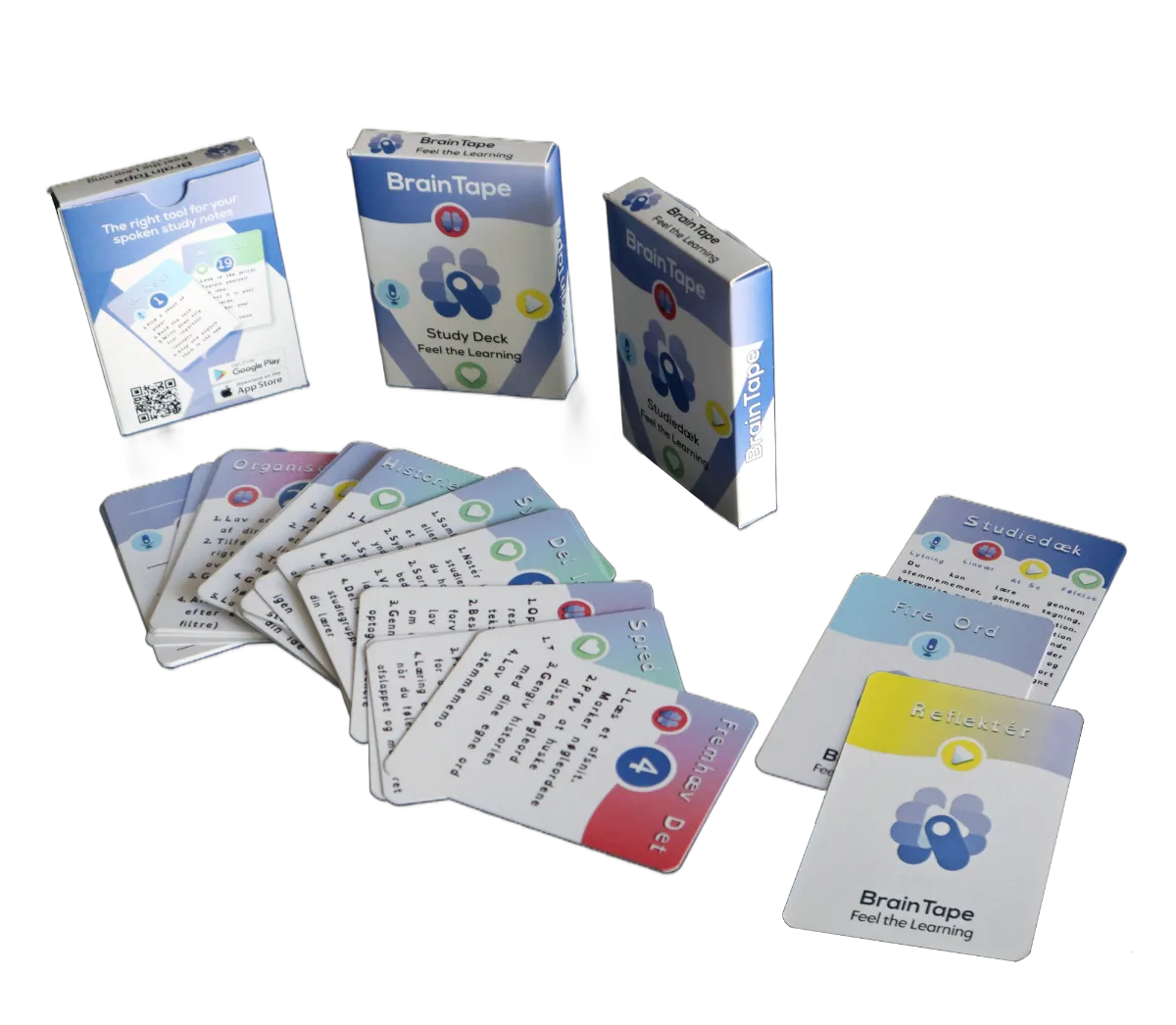 Fimia’s creative design for Braintape study cards combining accessibility, readability, and brand identity